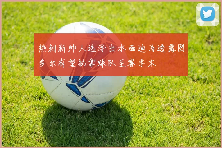 热刺新帅人选浮出水面迪马透露图多尔有望执掌球队至赛季末